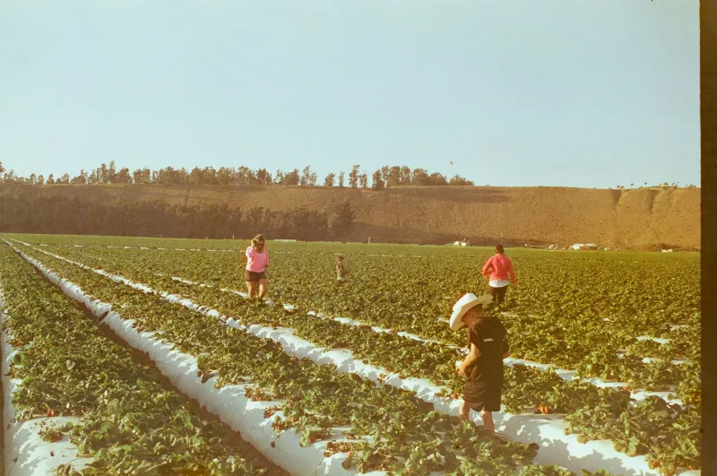 Dirt Under His Fingernails, Fire in His Notes: The Farmworker Who Made America's Food Safe