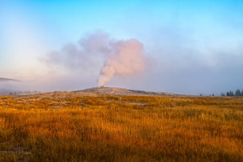 Smoke on the Range: The Cattle Girl Who Gave the EPA Its Teeth